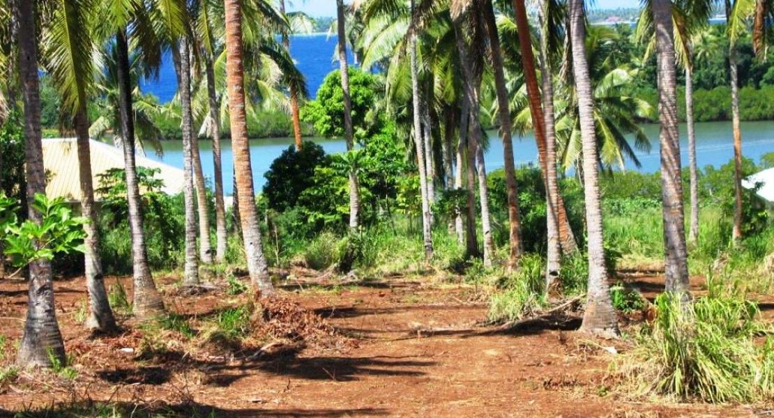 Neiafu, Vava'u, Tonga