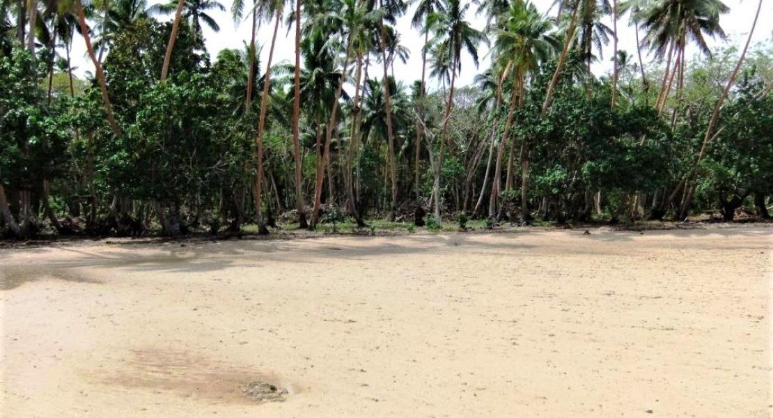 The ultimate beachfront 52 acres property in the Savusavu area