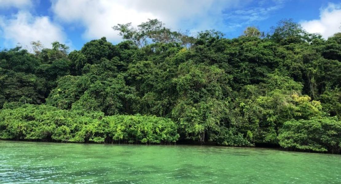 Property for sale at Vaipua, Vavau Island Group, Tonga, South Pacific