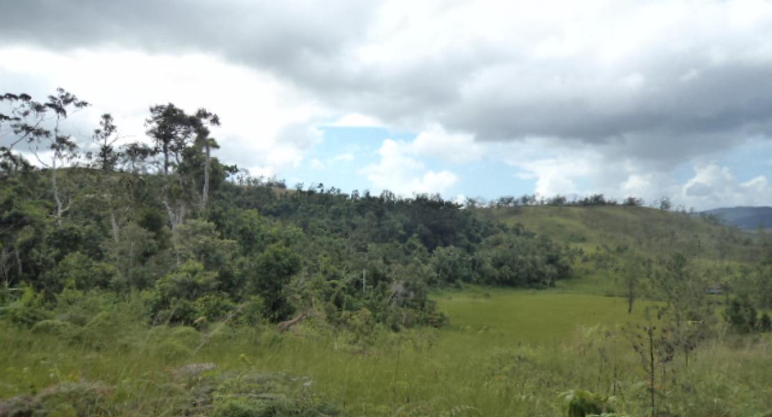 65 acres Navudi, Vanua Levu, Fiji