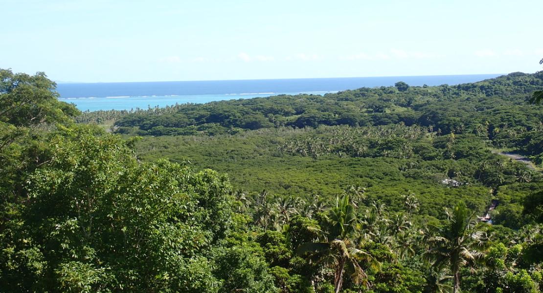 Freehold Land for Sale in Fiji