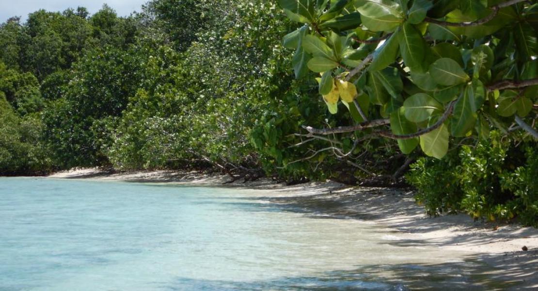 Land for sale in Vanuatu, South Pacific Real Estate