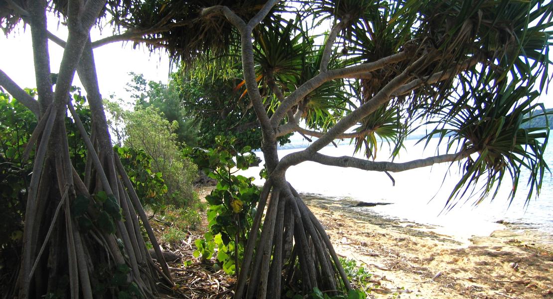 Beachfront property, Kapa island, Vavau, The Kingdom of Tonga